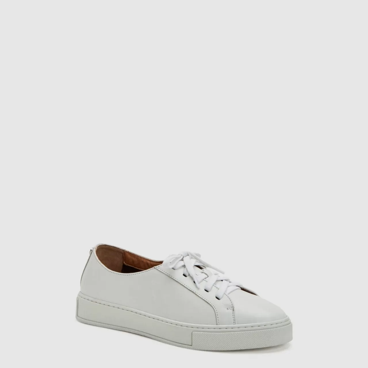 Aquatalia Sneakers | Ollie White